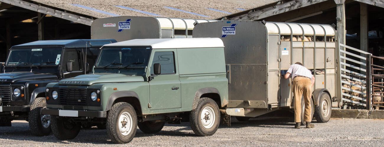 livestock transport companies nz